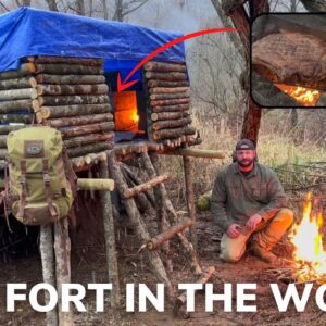 Solo Overnight Building a Tree Fort with Fireplace in The Snow and Ribeye Cooked Over a Chimney