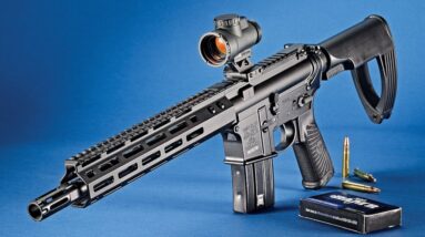 10 Things You Didn't Know About the AR 15 (AR-15 Facts)