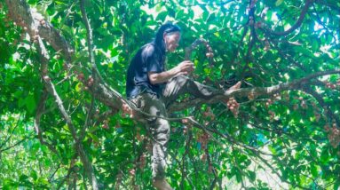 48H SURVIVAL CHALLENGE in the forest - No house, no electricity, no food