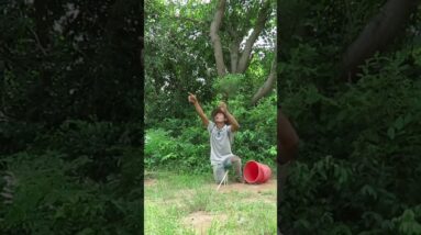 Creative Bird Trap And Easy #Shorts