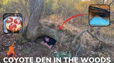 Solo Overnight Sleeping Inside a Coyote Den in The Woods and Pizza on a Bagel