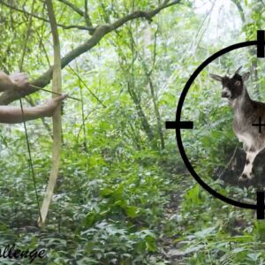 How does JUNGLE MAN take down a wild goat? - SURVIVAL CHALLENGE