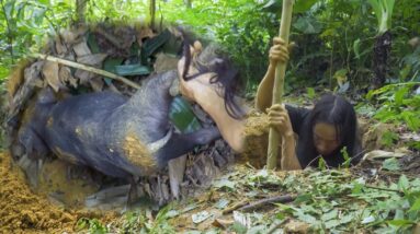 Thrilling hunts and great achievements of JUNGLE MAN - Survival Challenge