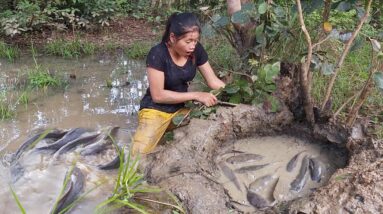 Pit fishing technical and fish grilled for dinner - Survival skills in jungle