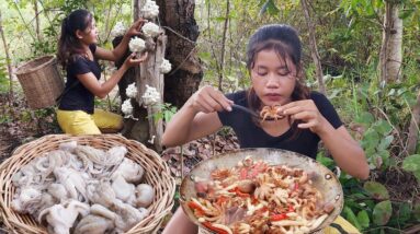 Mushroom curry spicy with Octopus for dinner - Solo cooking in jungle