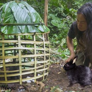 Primitive Technology - JUNGLE MAN makes a small house for rabbits