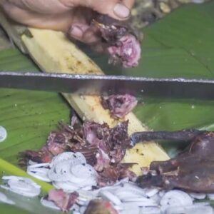 Rat meat is JUNGLE MAN's main food, rat-based dishes - Survival Challenge