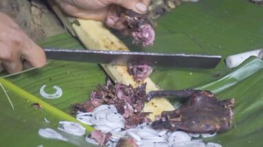 Rat meat is JUNGLE MAN's main food, rat-based dishes - Survival Challenge