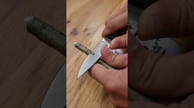 Carving 101 @estelawilded