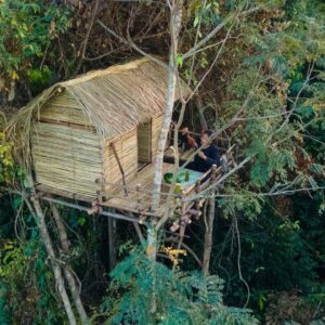 Girl Build The Most Beautiful Bamboo Tree House by Ancient Skills