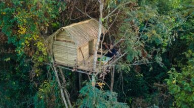 Girl Build The Most Beautiful Bamboo Tree House by Ancient Skills
