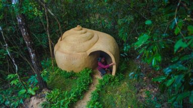 I Build The Most Beautiful Snail Shell-shaped Home Shelter