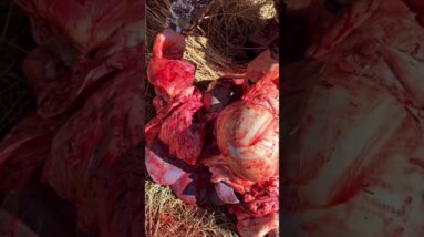 This is the time of year we are very grateful for family friends and opportunities to come together.