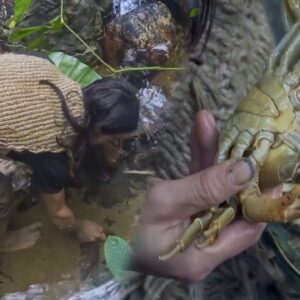 JUNGLE MAN catching crabs stream, building warm bushcraft shelter - Survival Challenge