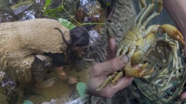 JUNGLE MAN catching crabs stream, building warm bushcraft shelter - Survival Challenge