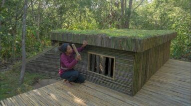 Girl Built The Most Amazing Dugout Underground Basement Shelter by Ancient Skills