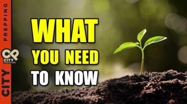 The Ultimate Garden Soil Guide for Successful Growing