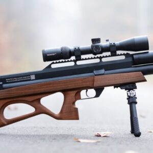 Top 10 Most Powerful Air Rifles Of 2023