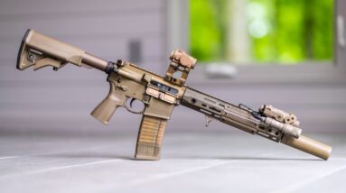 TOP 10 REASONS YOU SHOULD OWN an AR-15 RIFLE!
