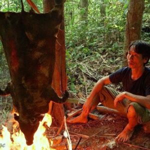 Primitive technology - The 6 month survival challenge in the jungle