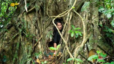 60 Days Survival Challenge - Turn the dangerous forest into the best place to live