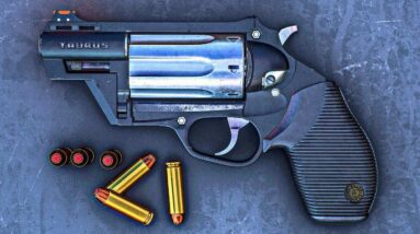 TOP 10 Best Handguns for Big-Game 2023