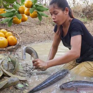 Survival Skill Catching fish in the mud & Pick some oranges fruits for lunch @survivalskillsanywhere