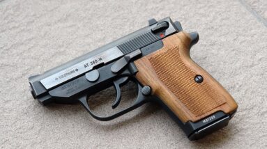 5 Guns Not Worth The Money in 2023