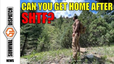 Survival Dispatch News 3-2-23: Getting Home After A SHTF Event