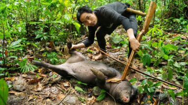 Conquering the Wild: A Bowhunter's Journey to Take Down a Wild Boar