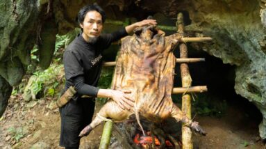 The Big Pig Escaped From The Barn, Chased And Followed The Trail