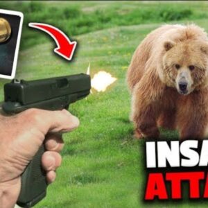 Top 10 Bear Defense Ammo 2023 | Best Charge Stopping Bear Cartridges!