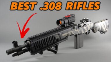 Top 10 Best .308 Rifles In The World 2023