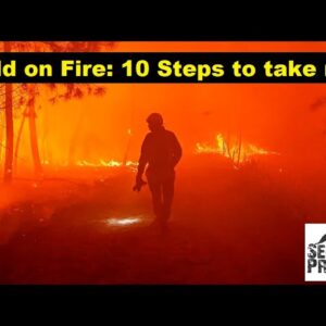 World on Fire! 10 Steps to Take Now