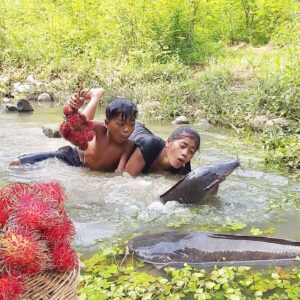 Survival in forest: Catch big catfish in river for food - Big fish spicy roasted for dinner