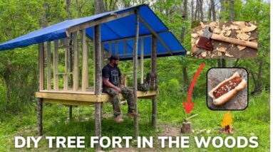 Solo Overnight Building a Tree Cabin in the Woods and Bacon Cheese and Sausage Chili dogs