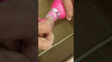 Fantastic Creative Pigeon Trap Using Cardboard Box #Shorts