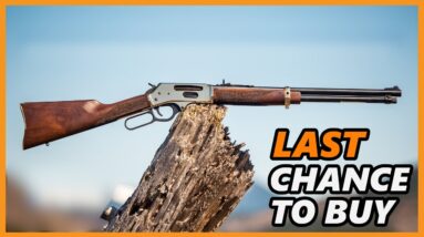 Top 5 Best Henry-Lever Action Rifles To Buy Before It's Gone!