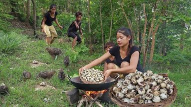 Found many Quail egg at the field for survival food - Cooking quail egg with chili sauce for dinner