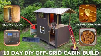 Solo 10 Day Overnight Building the Off-Grid Apocalypse Cabin in The Woods and Baked Bacon with Beans