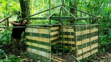 4 Year Survival Challenge In The Jungle - Face Of Survival - #11