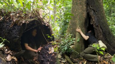 4 Year Survival Challenge In The Jungle - Face Of Survival - #9