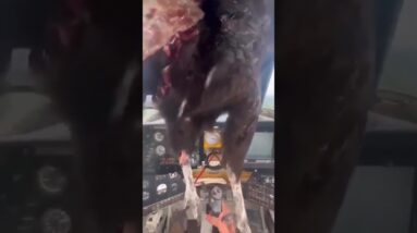 #MondayMedical Assessment - how would you treat this patient 😳 ? Go…