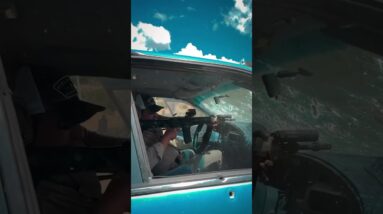 Eyes & Ears. Performance Carbine.