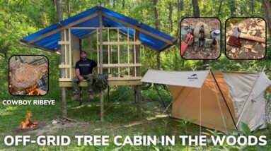 Solo Overnight Building an Off-Grid Tree Elevated Cabin in the Wilderness and Cowboy Ribeye