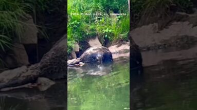 Pocket Survival - The Oh💩Kit l On3 Jason Salyer