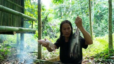 Strange Mutant Fish, Wilderness Alone
