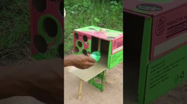 The Best Pigeon Trap Using Cardboard Box #Shorts