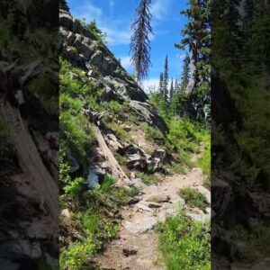 The breathtaking views of Moose Mountain in North ID | AOWS