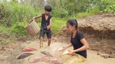 Survival skills: Catch and cook red fish for food in forest - Red fish soup spicy Eating delicious